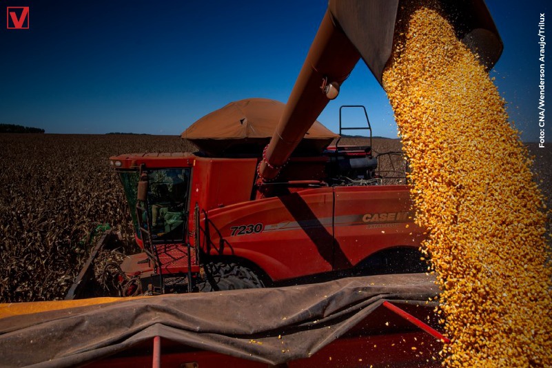 Balança comercial tem superávit de US$ 1,102 bi no início de outubro