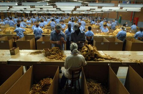 AGU quer penalizar indústria do tabaco e negligencia o controle do contrabando no Brasil