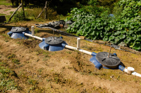 Programa transforma agricultores em guardiões da água