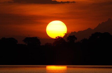 Uma verdadeira imersão na Amazônia