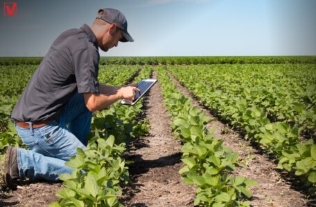 Rede digital de pesquisa agropecuária pode levar tecnologia a pequeno produtor, aponta debate