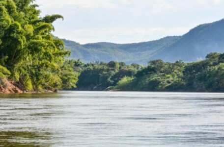 Sede da próxima edição do Brasil de Ideias, Mato Grosso vem reduzindo mês a mês o desmatamento