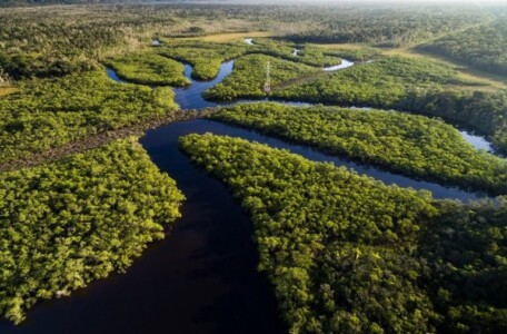 Desmatamento na Amazônia cai 70% em janeiro