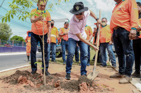 Os desafios ambientais da capital da floresta amazônica