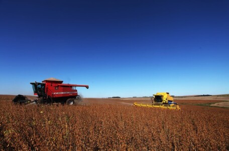 Indústria e agropecuária lideram crescimento em 2017