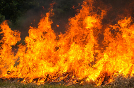 EUROPA TEM RECORDE DE ÁREAS DEVASTADAS POR INCÊNDIOS